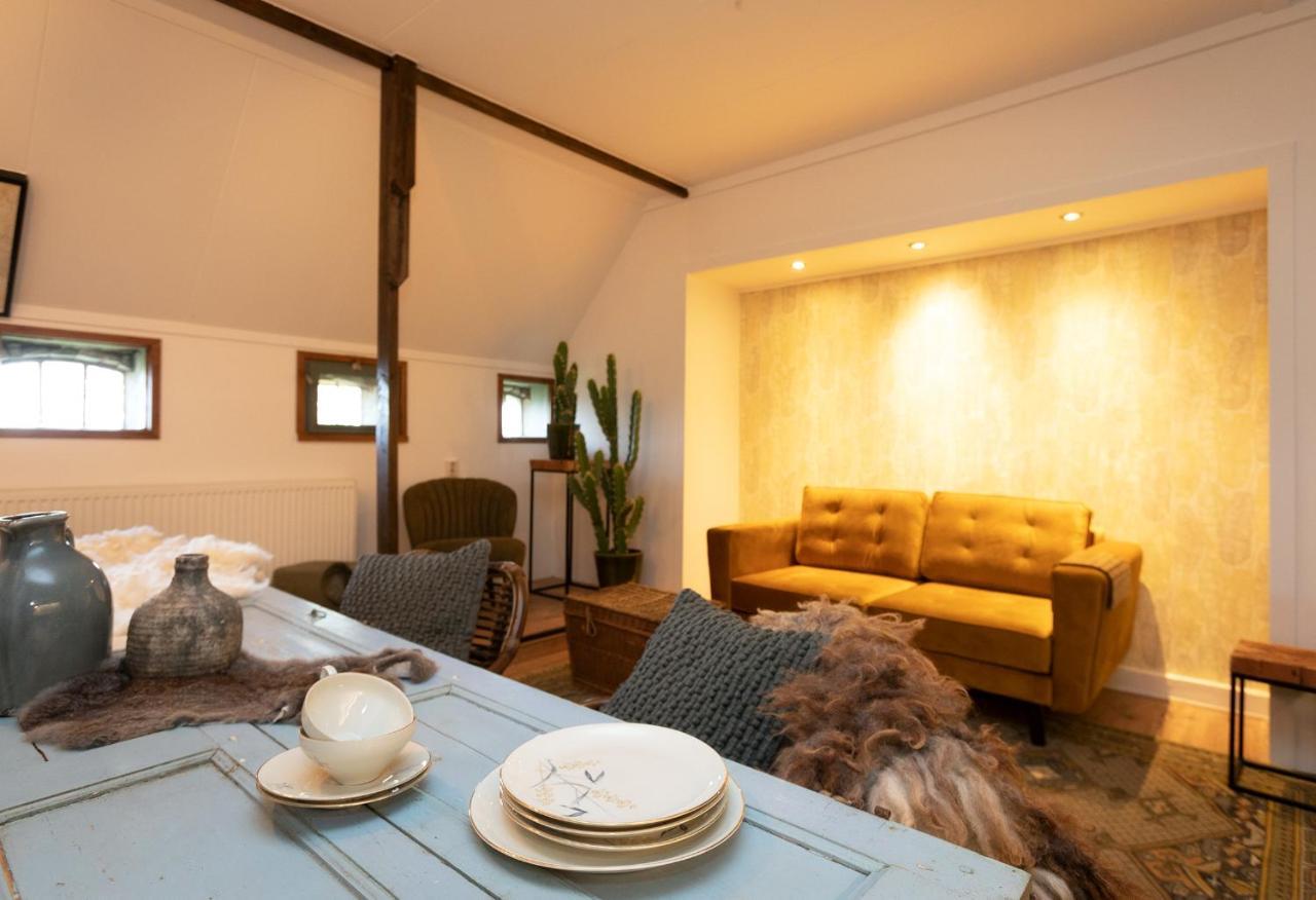 Logement Doosje Warfstermolen Dış mekan fotoğraf